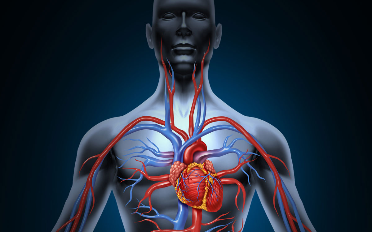 Takotsubo cardiomyopathy caused by a mobile radio transmitter