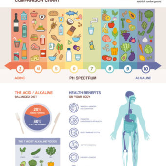 List of acid and alkaline foods