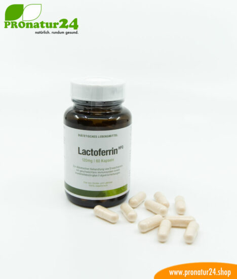 Lactoferrin HFQ | 120mg lactoferrin per capsule | Premium quality dietary food