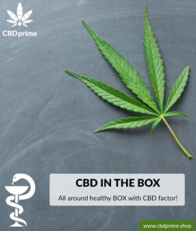 All around healthy BOX with CBD factor. Exclusive to CBDprime!