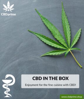 CBD BOX "Enjoyment for fine cuisine with CBD!". Exclusive to CBDprime worldwide!