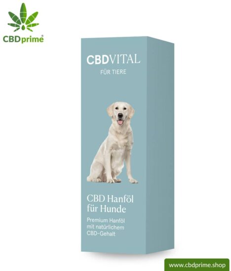 CBD hemp oil for dogs | Supporting effect for your dog with 4.2% CBD content | Premium hemp oil with natural CBD content of CBD VITAL