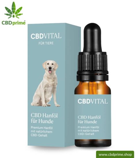 CBD hemp oil for dogs | Supporting effect for your dog with 4.2% CBD content | Premium hemp oil with natural CBD content of CBD VITAL