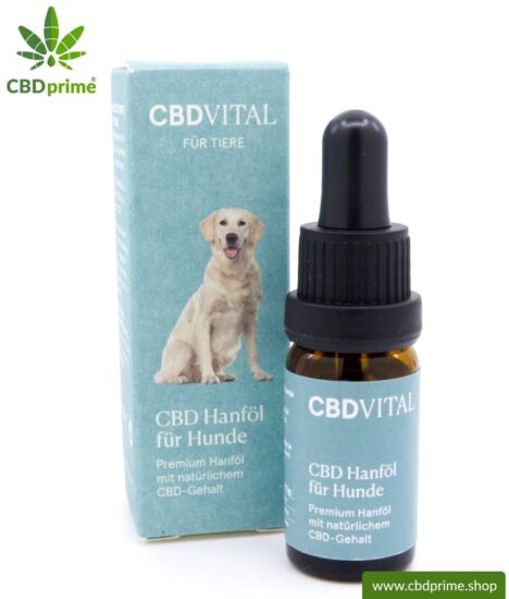 CBD hemp oil for dogs | Supporting effect for your dog with 4.2% CBD content | Premium hemp oil with natural CBD content | Organically produced by CBD VITAL. Vegan.