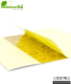 ALLEVI8 PRO Energy Strips | Latest tape technology with 15 pieces per package | +1 piece per order as gift to get to know | ORIGINAL Relief Strips from creator Dr. Kim, Korea / B-EPIC 20 ALLEVI8 PRO Energy Strips | Latest tape technology with 15 pieces per package | +1 piece per order as gift to get to know | ORIGINAL Relief Strips from creator Dr. Kim, Korea / B-EPIC